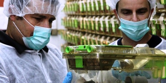 Israel is Finding the Keys to Long Life